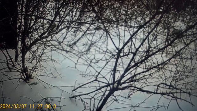 Е. Премудрая - сливает своих подружаек ПРИШЛО ВРЕМЯ ,ПОПРОШАЙНИЧЕСТВО смотреть онлайн