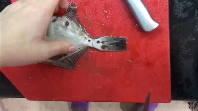 Как чистить Камбала.разделка рыбы Камбала.приготовить Камбалу. смотреть онлайн