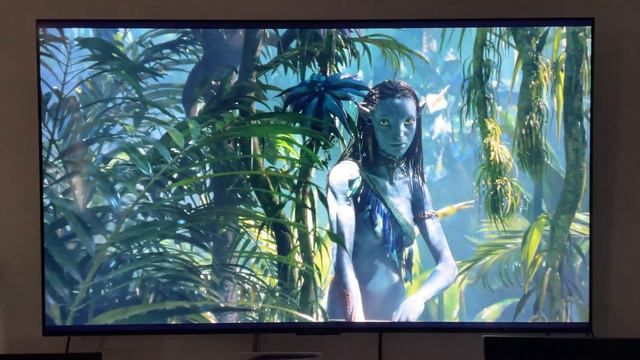 ТВ TCL 75C755, ответы на вопросы: углы обзора, DSE, PS5 геймплэй 30/60 fps, Avatar 2 100GB, спорт смотреть онлайн