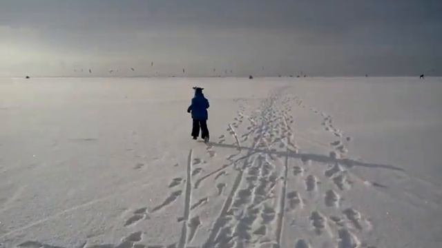 Финский залив. Невская губа :) смотреть онлайн