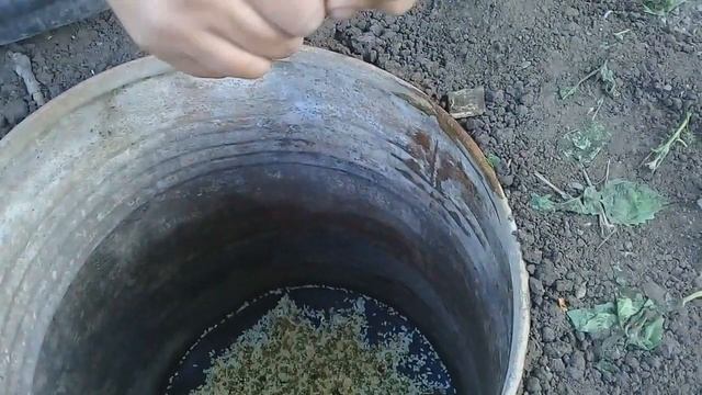 Удачная охота на хомяка! смотреть онлайн