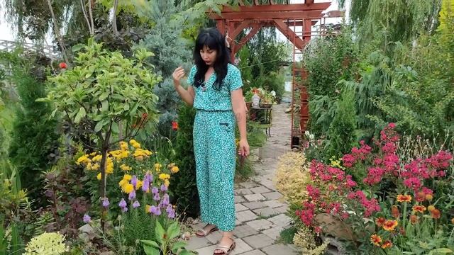 ОБЗОР САДА 16 ИЮЛЯ 2022 С ЦВЕТАМИ Мой цветущий ЮЖНЫЙ САД редких коллекционных растений! смотреть онлайн