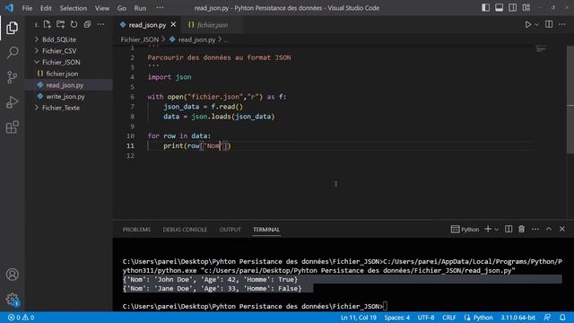 Formation Python : Parcourir des données au format JSON смотреть онлайн