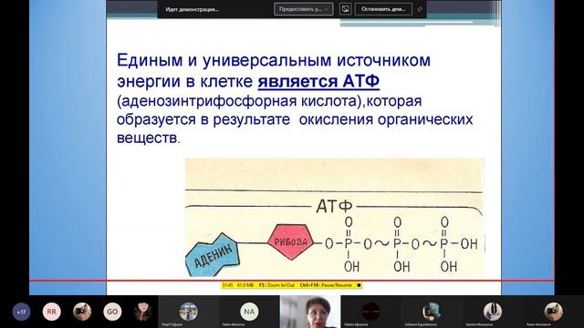 Biologiya sertifikasiya hazırlığı-2. Şəhla Mehdiyeva смотреть онлайн