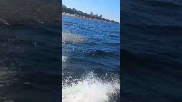 Россия @Самара #Гусар смотреть онлайн