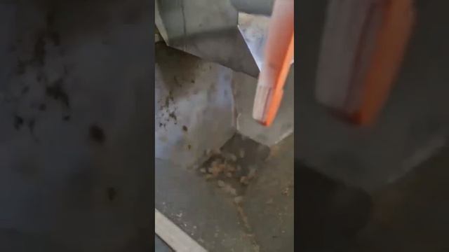 Оборудование по изготовлению сухого корма для собак и кошек. #корм #экструдер #сушилка #линия смотреть онлайн