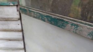 Пруд или бассейн для уток своими руками, первый раз выпустили утят на воду.