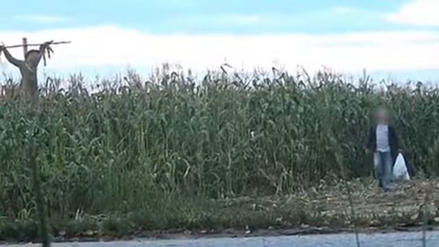 Спокойствие русского человека на пуголо 😀 это самое ржачное видео. смотреть только взрослым . смотреть онлайн