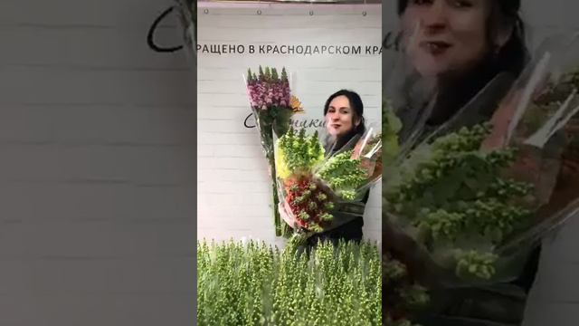 Львиный зев❗ смотреть онлайн