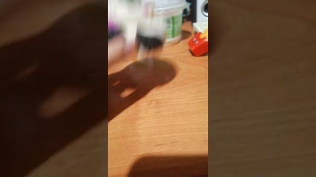 Коллекция сквиши обзор смотреть онлайн