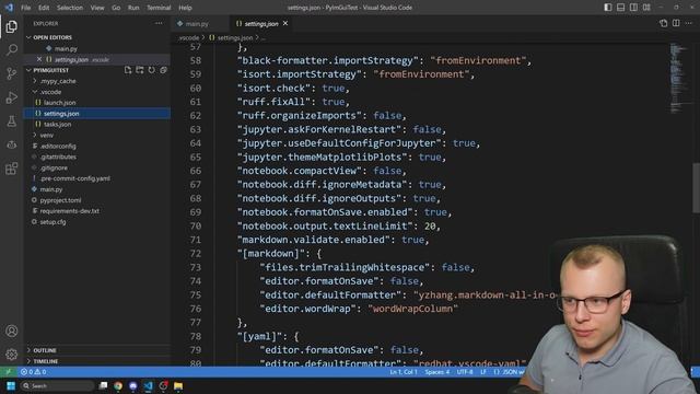 Alle PROFI Python Settings auf einen Schlag - VSCode смотреть онлайн