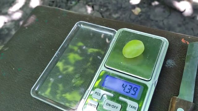 2. Виноград Гарольд на 14.08.21 смотреть онлайн