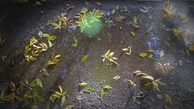 После дождичка в Октябрь смотреть онлайн