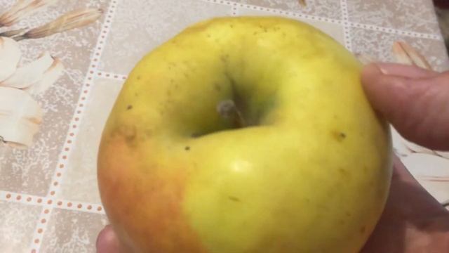 Синап Орловский ...