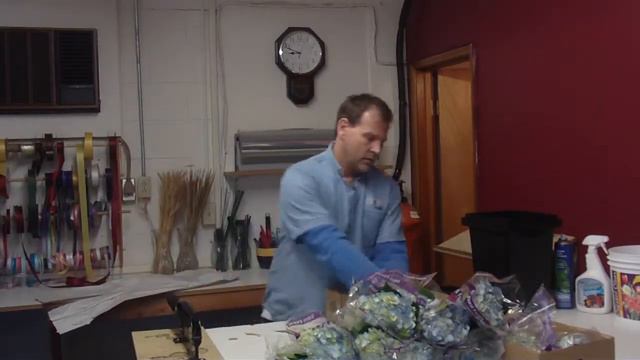 How To Prepare Hydrangeas Medium Blue from Ecuador - lwflowers.com смотреть онлайн