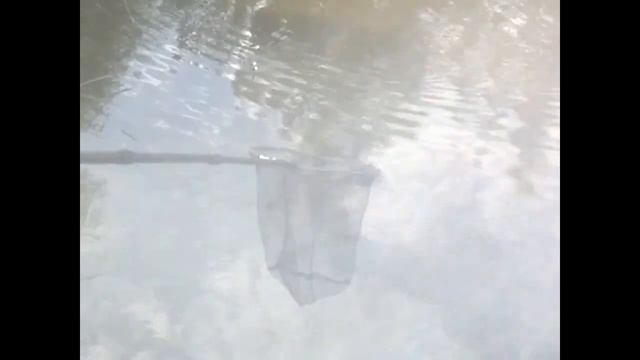 Рыбалка на платнике Аревик Армения/Dzknorsutyn Arevikum смотреть онлайн