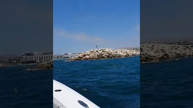 Fishing in Baja on the Freeman 34ft, twin 350s смотреть онлайн
