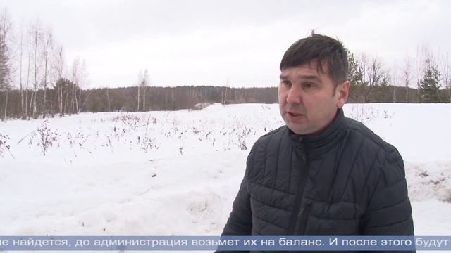 Плотины проверены. Большой воды не будет смотреть онлайн