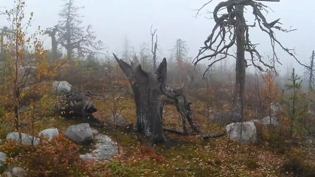 На ВоТТоВааРу на внедорожнике смотреть онлайн