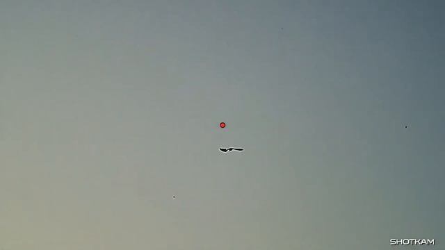 Охота на гуся с подствольной камерой Shotkam !? смотреть онлайн