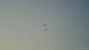 Охота на гуся с подствольной камерой Shotkam !?