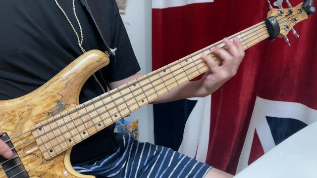 #194 윤하 - 혜성 bass cover смотреть онлайн