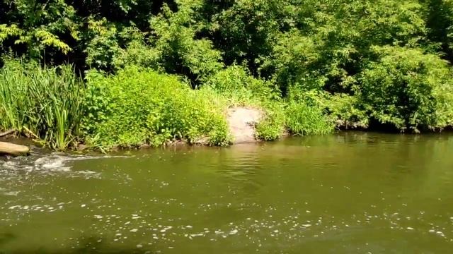 Black Fly 146cм тест до 1г / Мормышинг на перекате смотреть онлайн