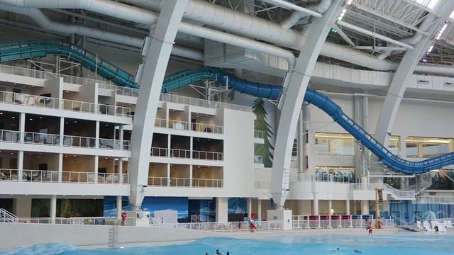 DreamWorks Dream Runner Review, DreamWorks Water Park | World's Best Water Coaster? смотреть онлайн