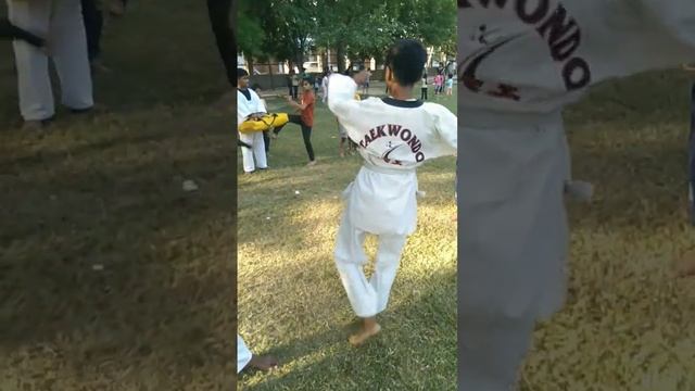 taekwondo training summer camp смотреть онлайн