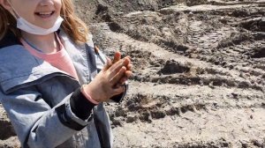 Меня засосало болото