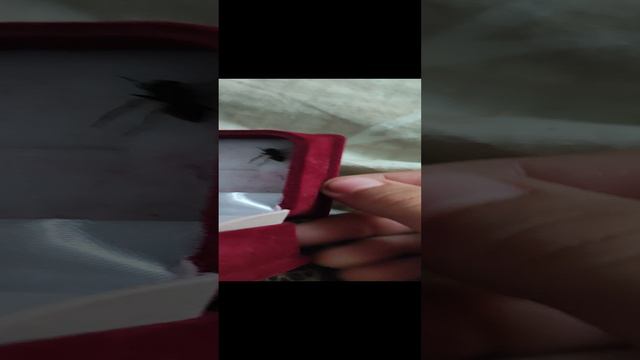 1000032621.mp4 смотреть онлайн