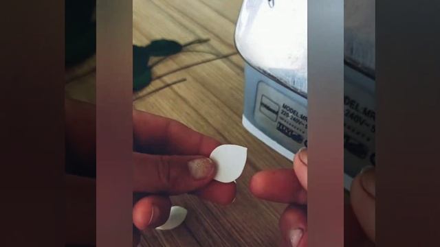 МК подробный. жасмин без молдов. чибушник из фоамирана flowers from foamiran смотреть онлайн