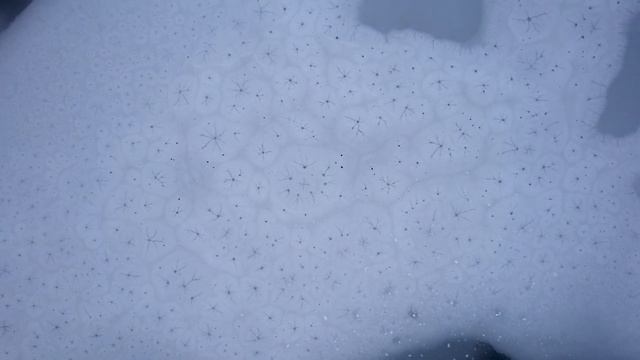 Красивые места Казахстана: озеро КОЛЬСАЙ и КАИНДЫ + ЧЕРНЫЙ КАНЬОН зимой. Что посмотреть в Алматы?