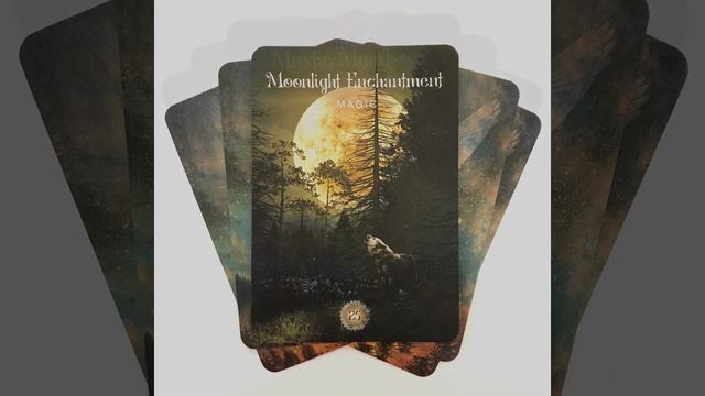 SACRED FOREST ORACLE Flip Through (Full Deck Flip Through, No Unboxing) смотреть онлайн