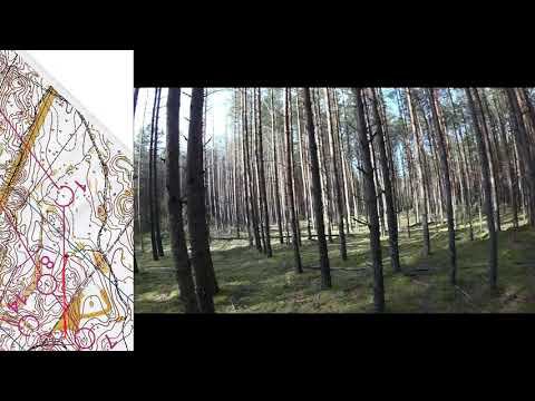 Спортивное ориентирование (Headcam Orienteering) - Тренировочный старт. Часть первая.