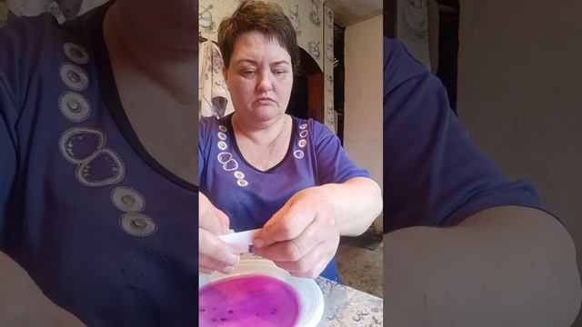 семена суккулентов перед посадкой. смотреть онлайн