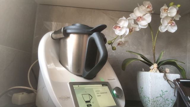 ТЕРМОМИКС ТМ 6 .МОЕ ВПЕЧАТЛЕНИЕ ГОД СПУСТЯ.