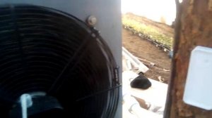 Выращивание клубники зимой в теплице!