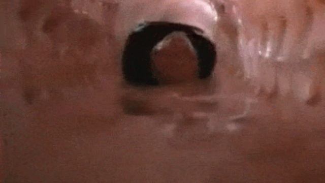 ОГРОМНАЯ ЗМЕЯ АНАКОНДА