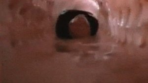 ОГРОМНАЯ ЗМЕЯ АНАКОНДА