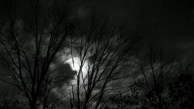 Bernadette 1 Hour By IAMX