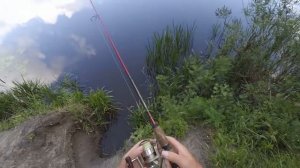 @Начинающему спиннингисту о бороде и дальности забросов