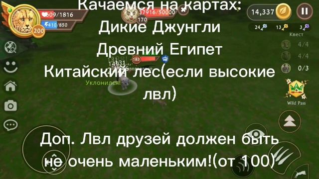 •КАК БЫСТРО ПРОКАЧАТЬСЯ ДО 200 УРОВНЯ | Прокачка | WildCraft | zTornado• смотреть онлайн