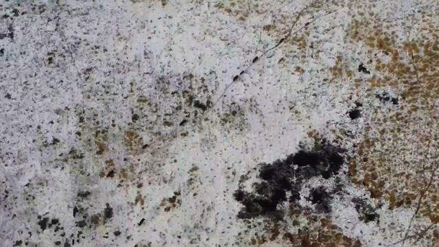 Ноябрь... Вы полюбите меня...Как живут инвалиды в России. смотреть онлайн