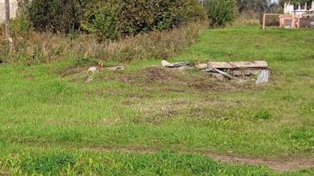«Опасный мусор» смотреть онлайн