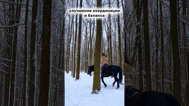 Что можно получить на конной прогулке? Часть 3