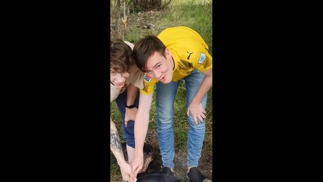 бегемота съели смотреть онлайн