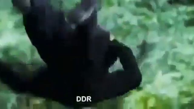 НОВЫЙ ИНДИЙСКИЙ КИНО АЛУ АРДЖУН И БОГАТАЯ ДЕВУШКА смотреть онлайн