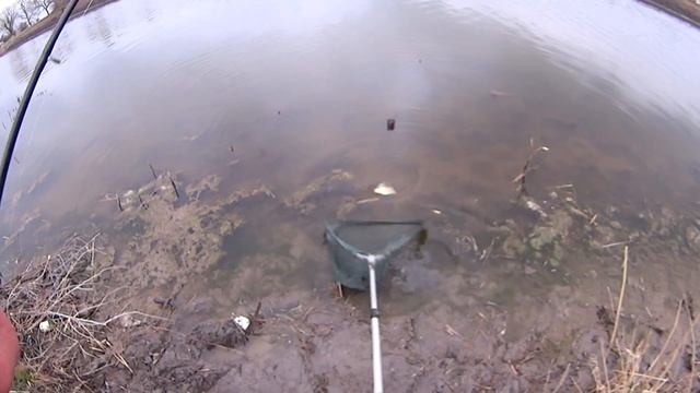 рыбалка на тёплом канале 3.04.19 смотреть онлайн