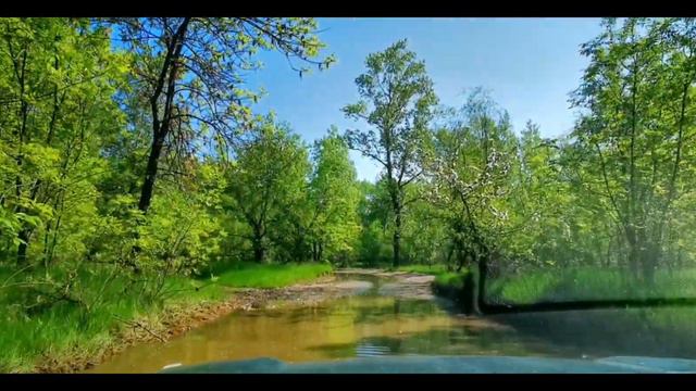 Поволжье. Весна 2023. смотреть онлайн